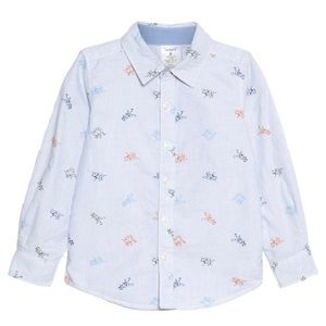 Dinosaur button down.